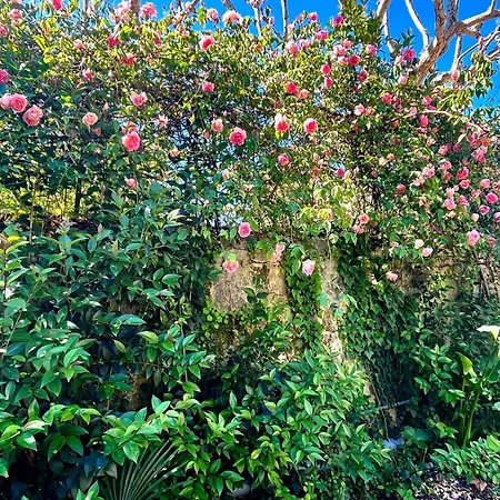 Διαμέρισμα Les Quais De