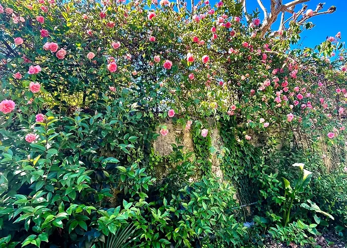 Διαμέρισμα Les Quais De